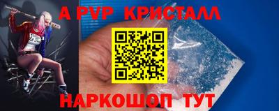 бошки Кингисепп