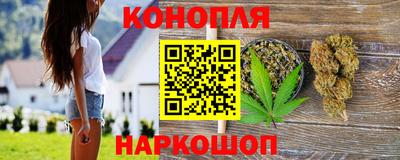 бошки Кингисепп