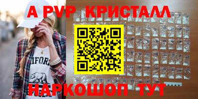 бошки Кингисепп