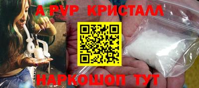 бошки Кингисепп