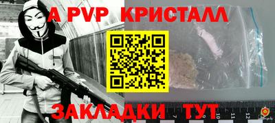 бошки Кингисепп