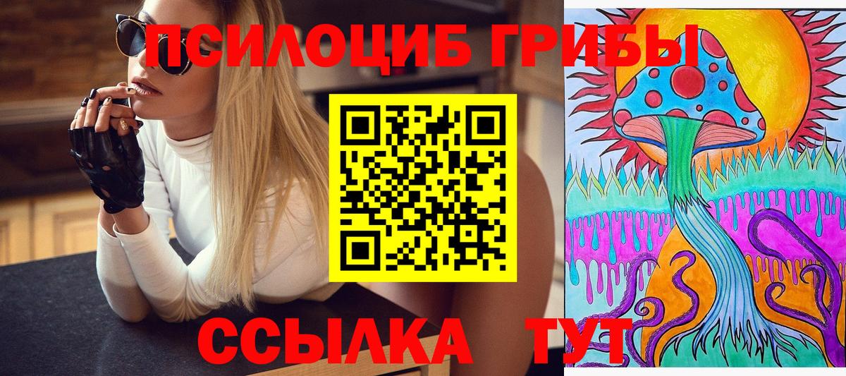 Кропоткин  Галлюциногенные грибы мухоморы  Вход с VPN 