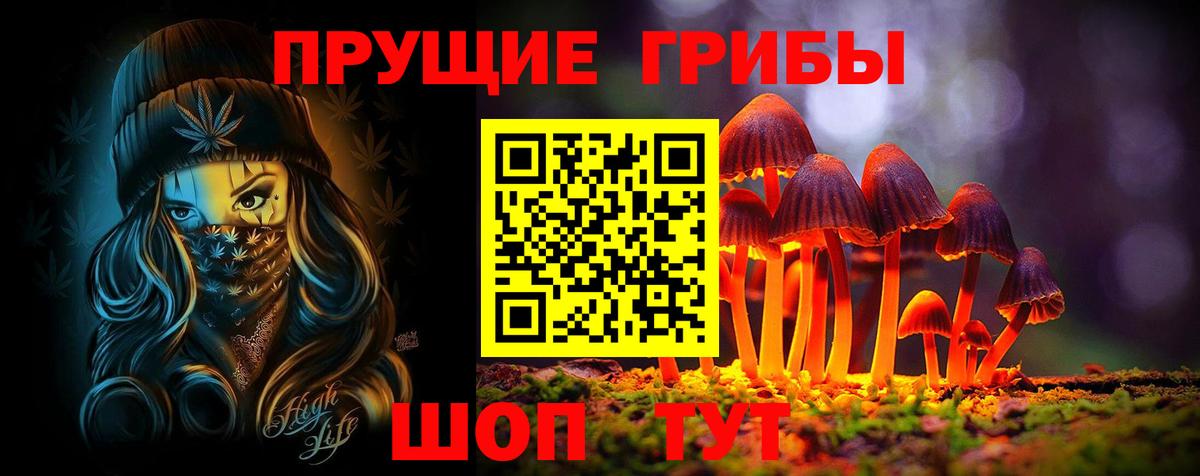 Галлюциногенные грибы Psilocybine cubensis Кропоткин